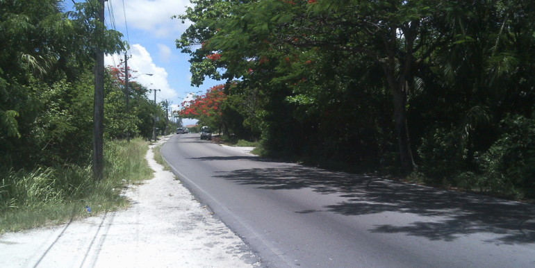 road view